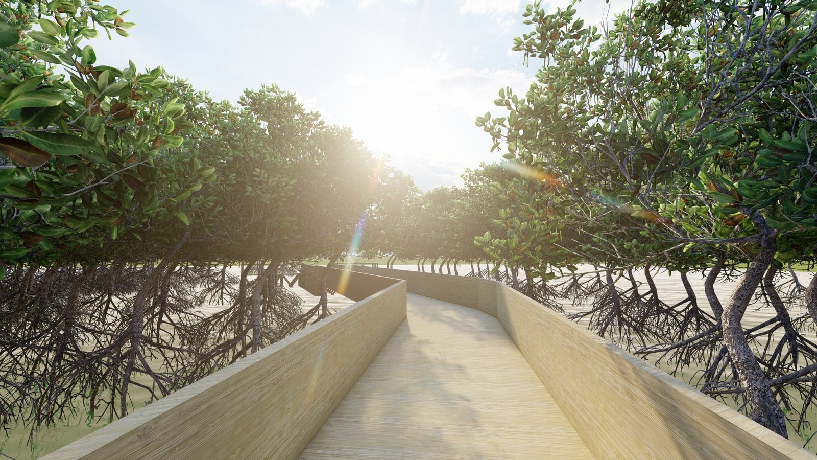 Senderos en Manglar